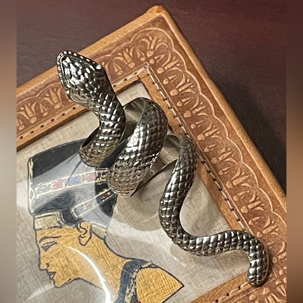 Silver Snake Ring - image 1